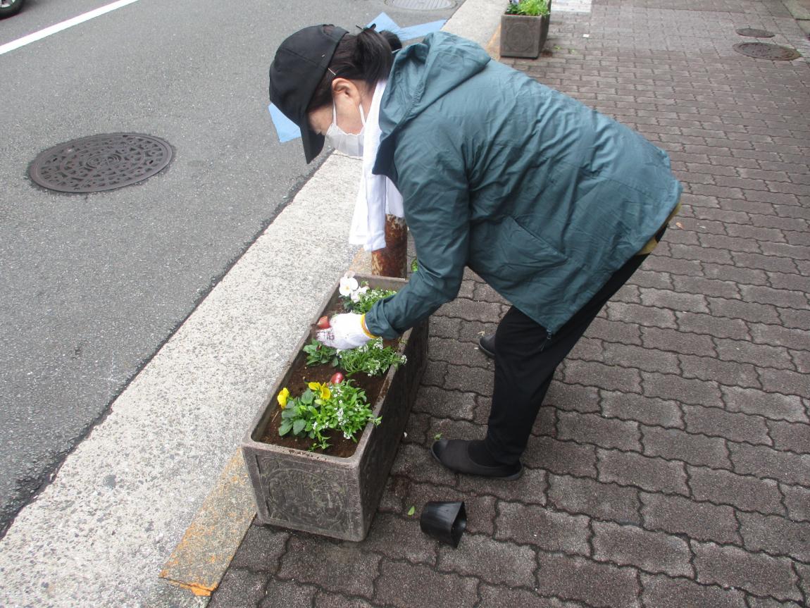等々力駅周辺の植え替え