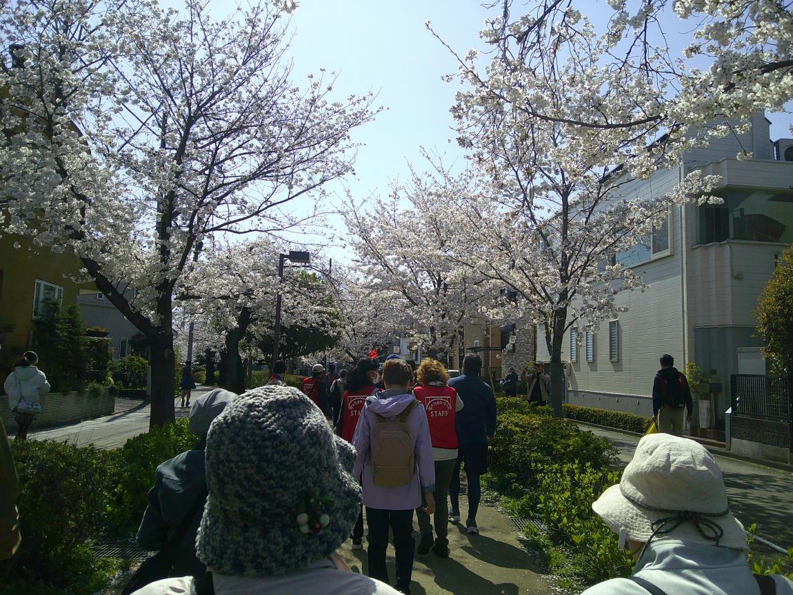 吞川緑道を歩く様子
