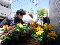 花の植え替えの様子