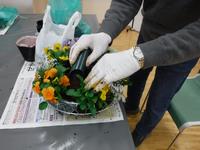 多肉植物リース(丸型)