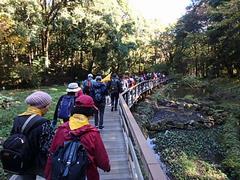 春の歩行会1