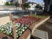 上北沢公園の花壇の写真