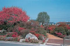 烏山つつじ緑地の写真