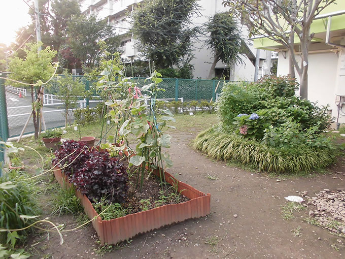 保育園裏庭