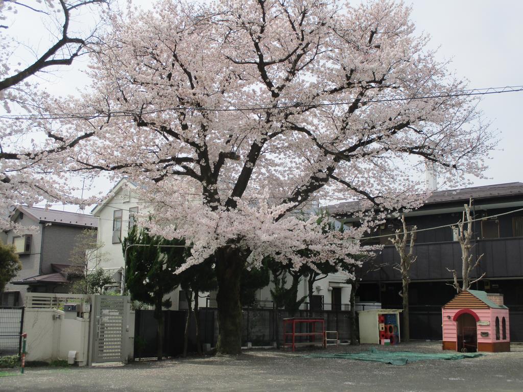 009