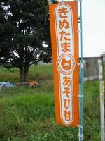 のぼりの写真