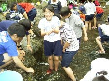 地域環境学習プログラムの様子の写真2