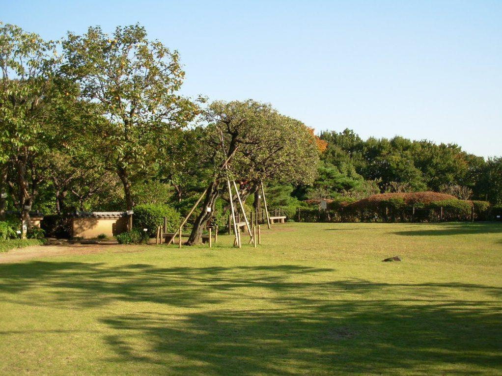 芝生広場
