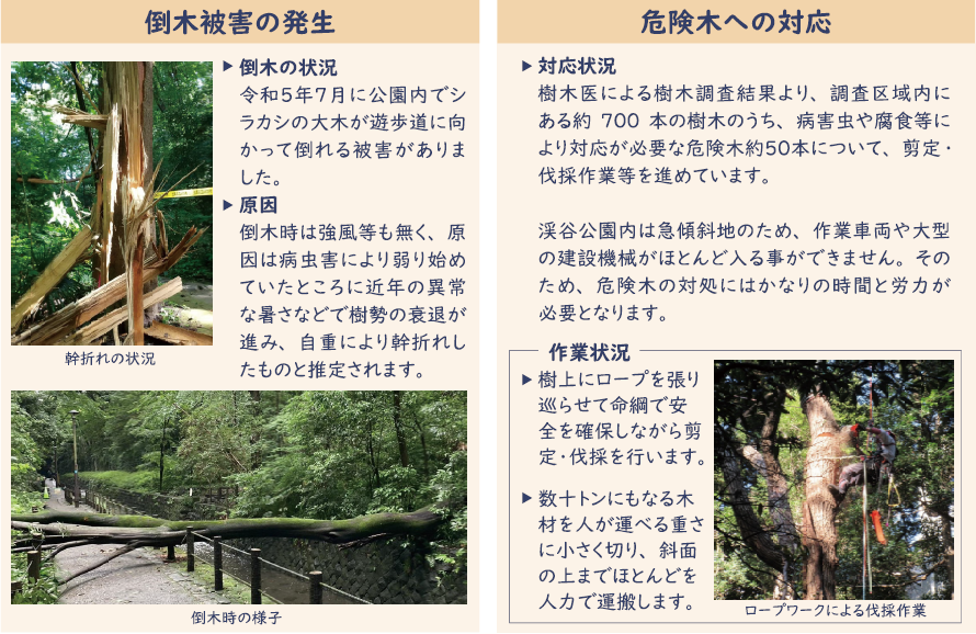 リーフレット左上