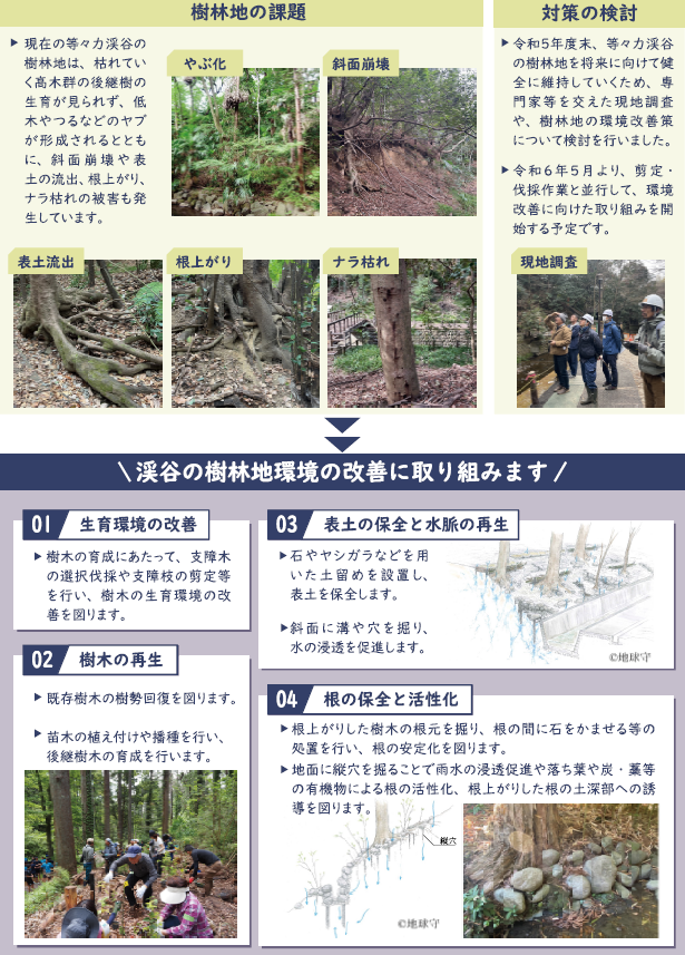 リーフレット中面右
