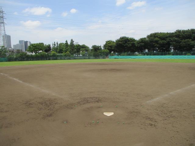 野球場全景の写真