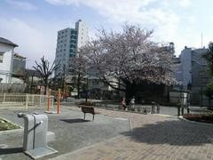 nozawa2tyoume