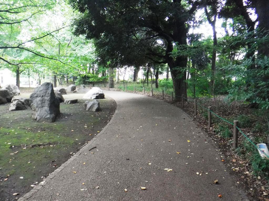 緑が心地よい園路