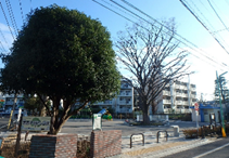 入口