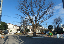 公園内の様子