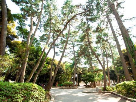 若林公園