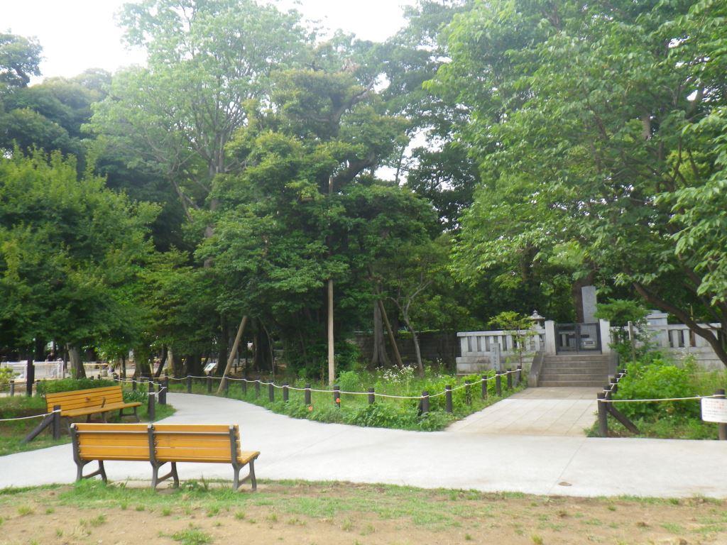 若林公園拡張部分