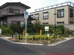 wakabayasiazizai