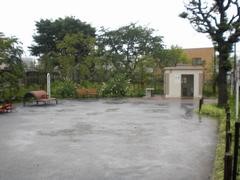 桜上水しいの木公園