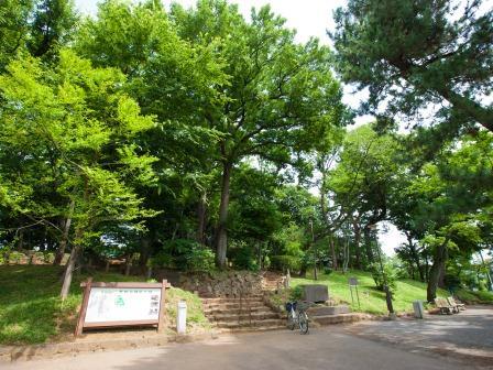 世田谷城址公園