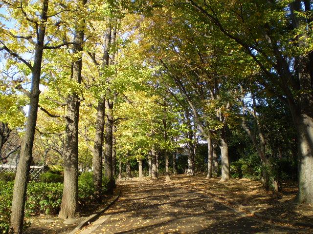 中学校坂