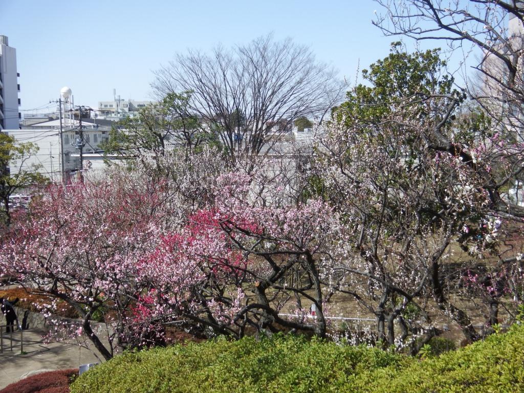 梅林全景