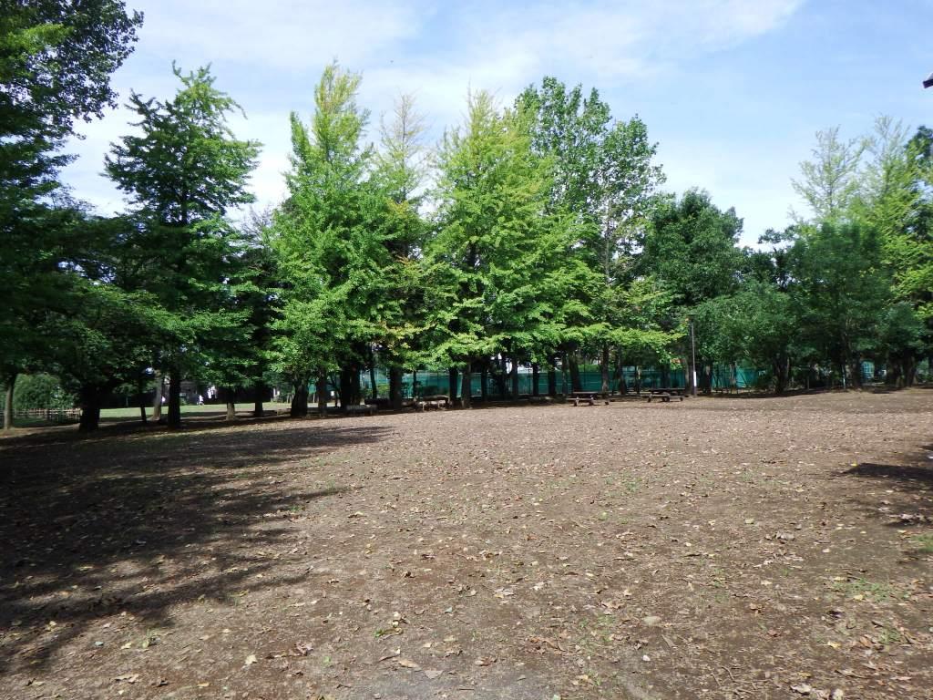 樹木広場