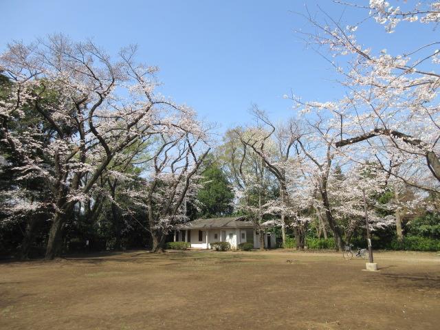 上野毛自然公園の写真1