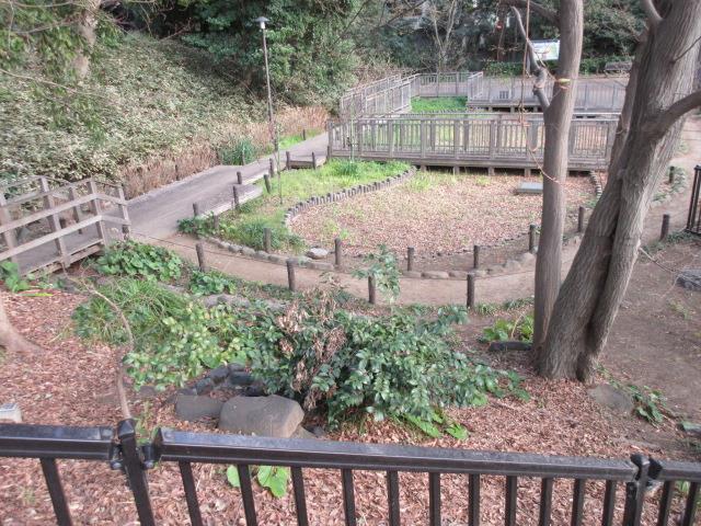 上野毛自然公園の写真2