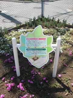 みどり33のバッチを模した説明板