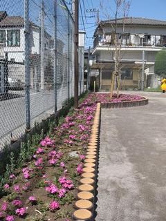 midoriwotaisetu