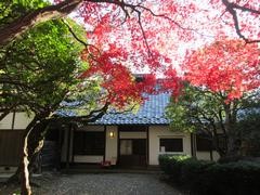 旧小坂家住宅全景