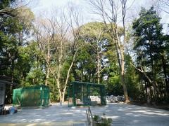 玉川台二丁目五郎様の森緑地