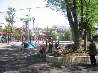 玉川中町公園全景の写真