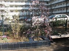 植栽とベンチ