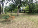 公園内の様子