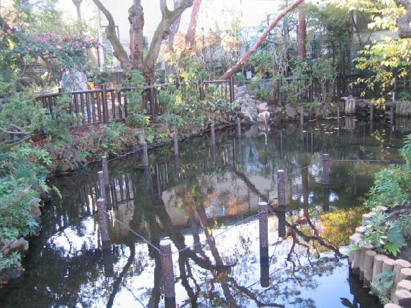 深沢の杜緑地池の様子の写真