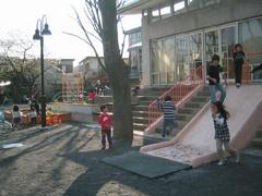 suberidai