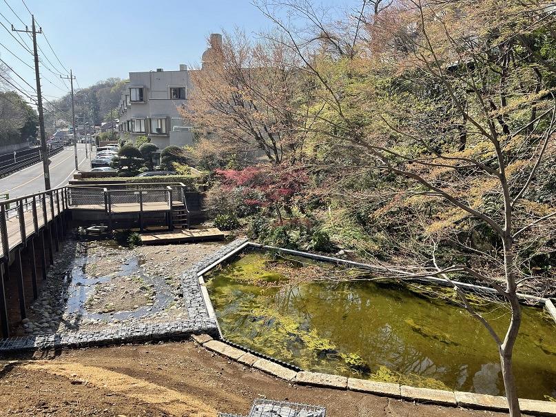 湧き水が見渡せる場所