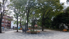 公園内の様子