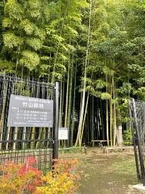 緑地入口