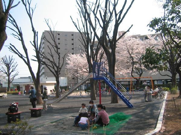 葭根公園の写真3