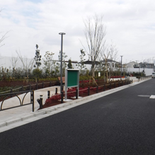 公園の様子