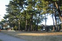 給田松の香公園