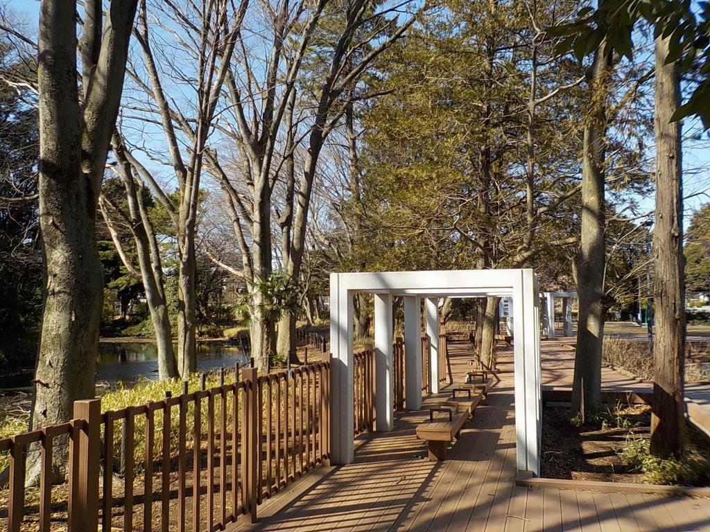 将軍池広場デッキと池