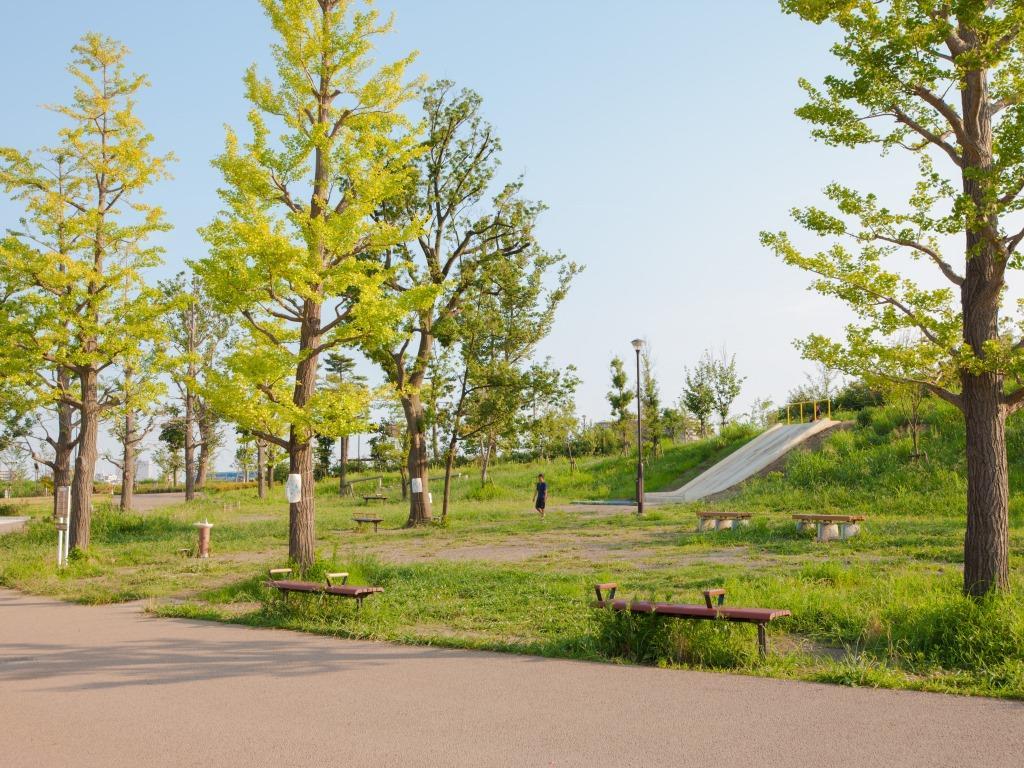 みどりの遊び場