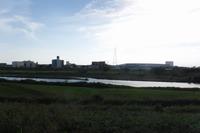 多摩川遊園近くの多摩川