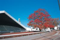 駒沢公園