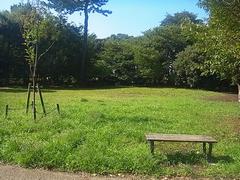 三宿の森緑地