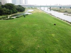 兵庫島公園